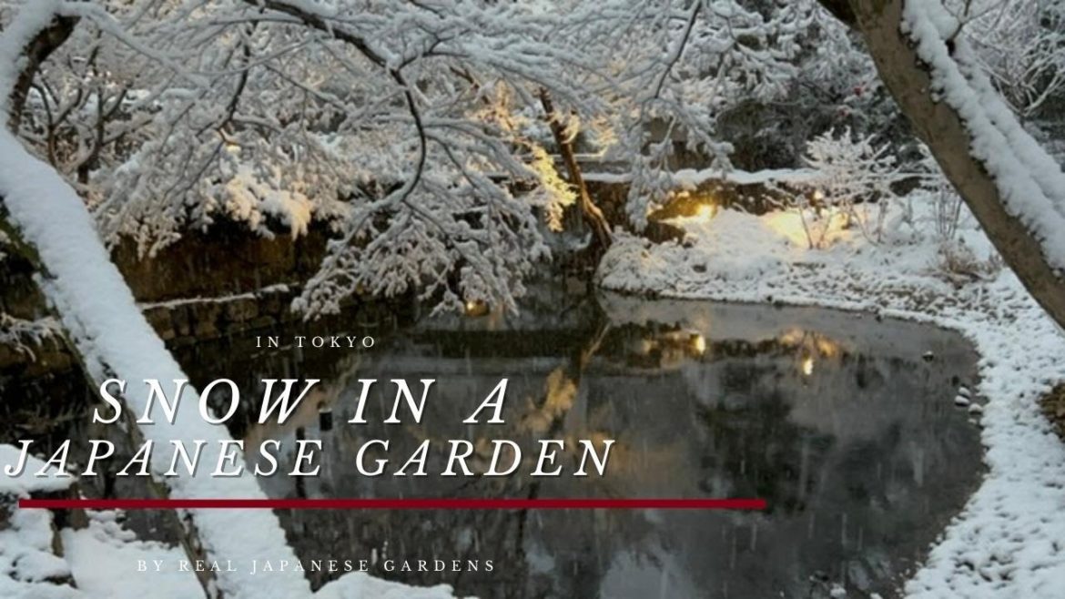 Snow in a Japanese Garden - Tokyo 2022