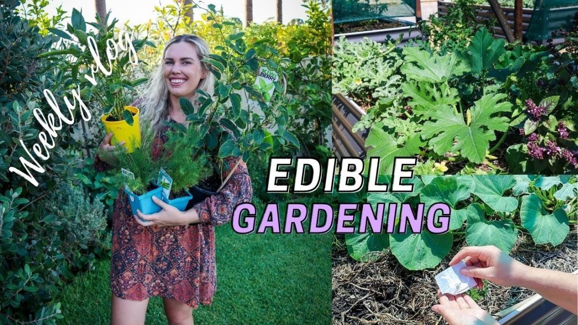 Edible Perennial Garden Haul // Planting Seeds // Edible Permaculture Gardening Vlog #2