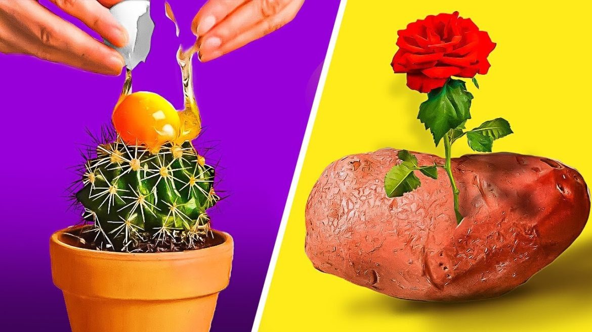 Amazing Plant Growing Hacks || Simple Tips For Your Inner Gardener