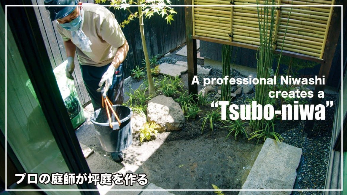 【Project.50】professional Niwashies creates a “Tsubo-niwa” garden. プロの庭師が京都の町家に坪庭を作る。 【Project.50】professional Niwashies creates a "Tsubo-niwa" garden. プロの庭師が京都の町家に坪庭を作る。