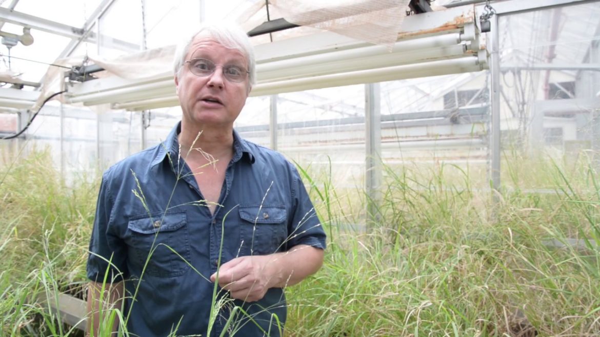 Engineering Microbiomes / Trends in Microbiology October 2015 (Vol. 23, Issue 10) Engineering Microbiomes / Trends in Microbiology October 2015 (Vol. 23, Issue 10)