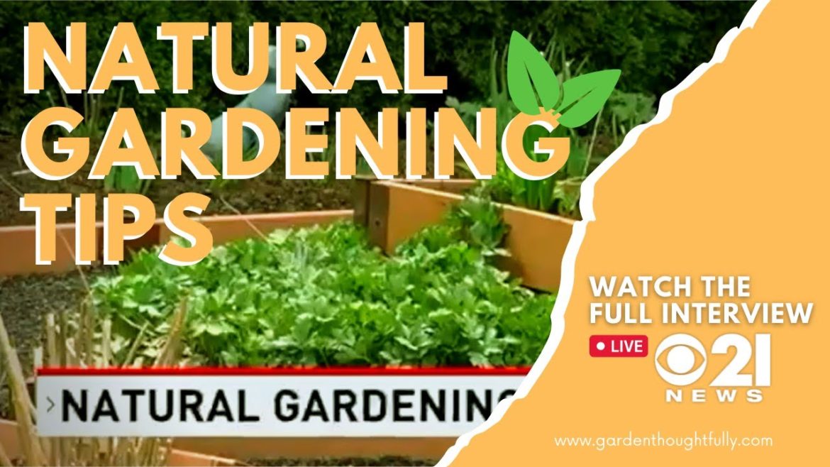 CBS21 News: Natural Gardening Tips with The Thoughtful Gardener