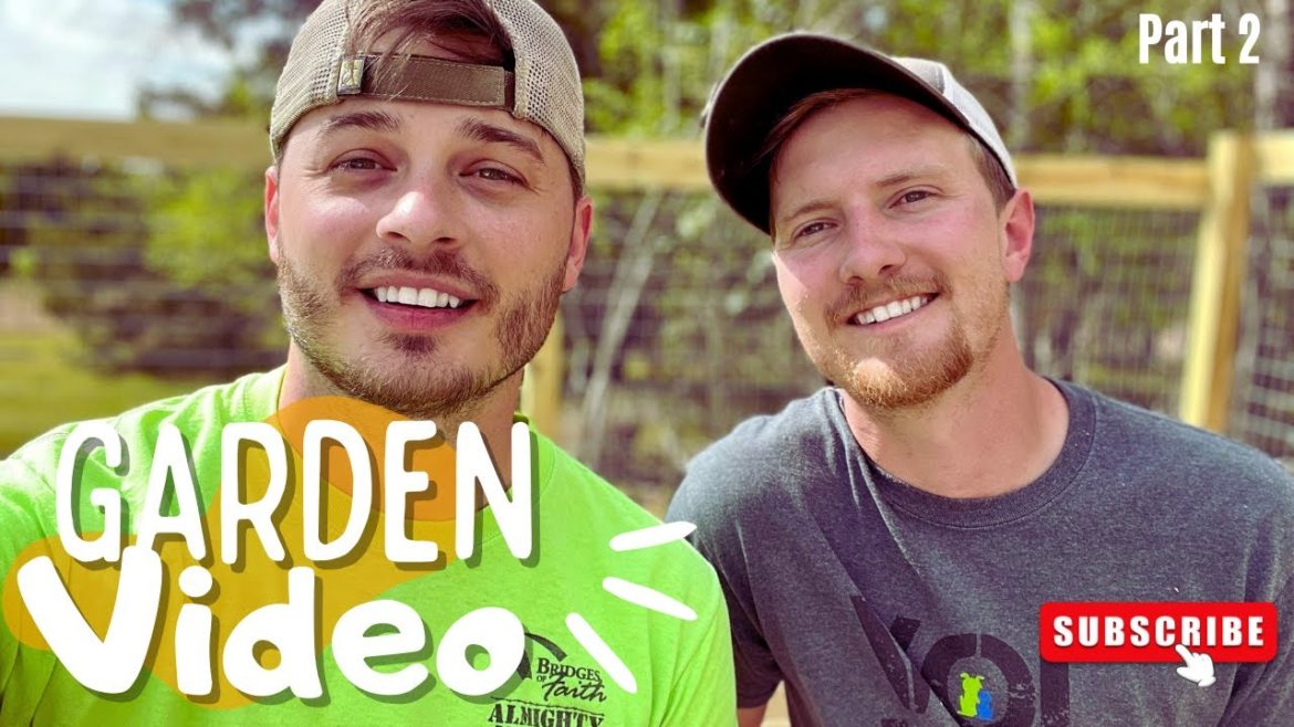 Vegetable Garden Design Almost COMPLETE!