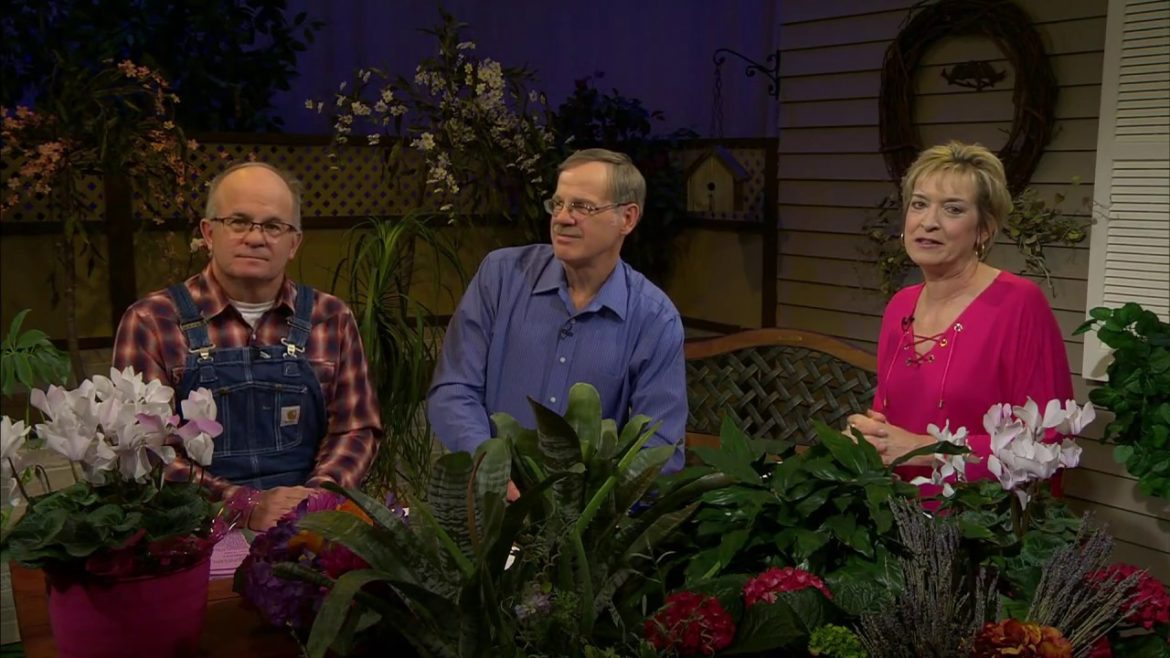 Great Gardening Spring Special 2017