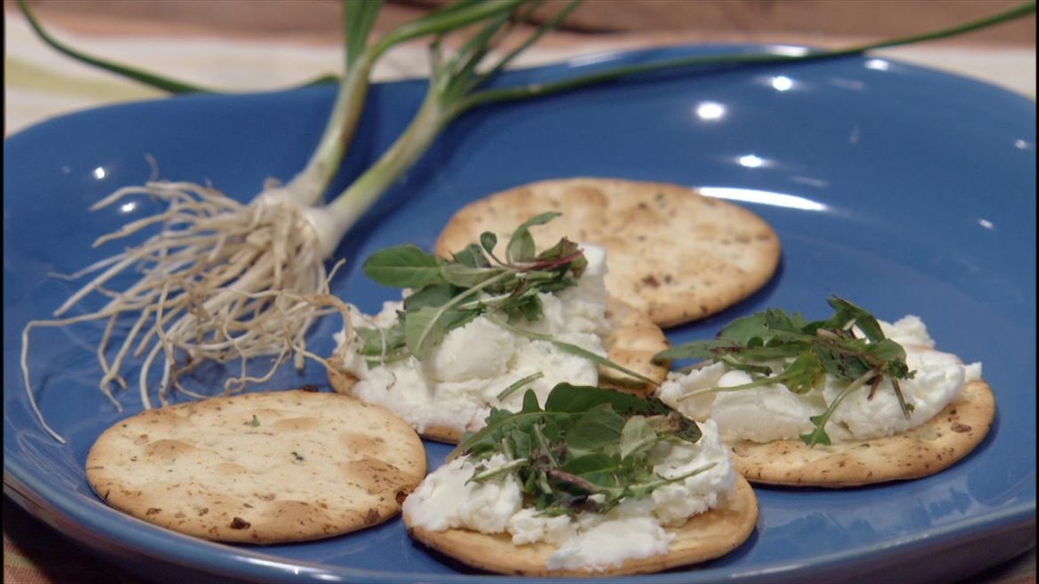 Edible Native Plants |Andrea DeLong-Amaya |Central Texas Gardener