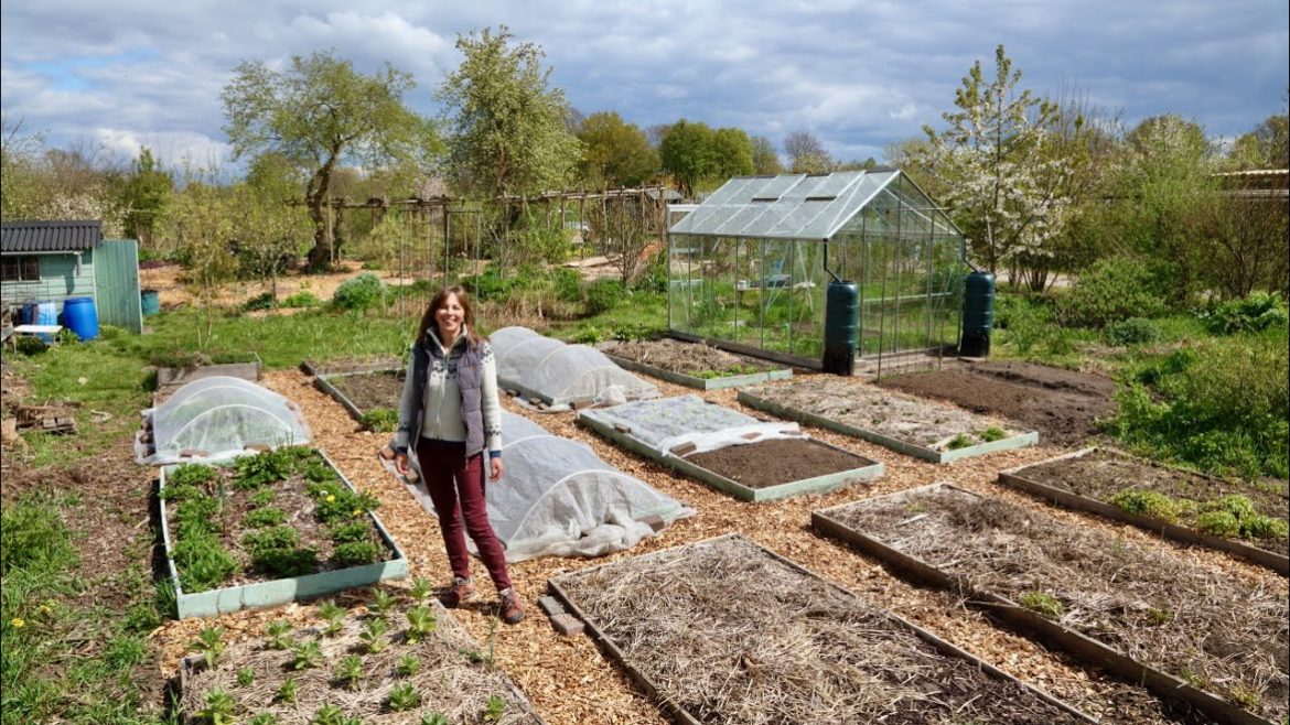 Our 1/4 acre EDIBLE GARDEN in May – so many plans! Our 1/4 acre EDIBLE GARDEN in May - so many plans!