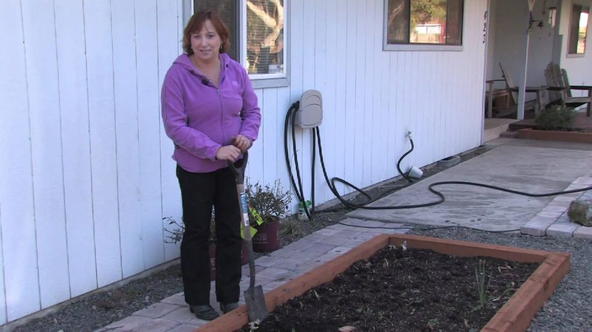 Gardening Tips : How to Transplant Cannas