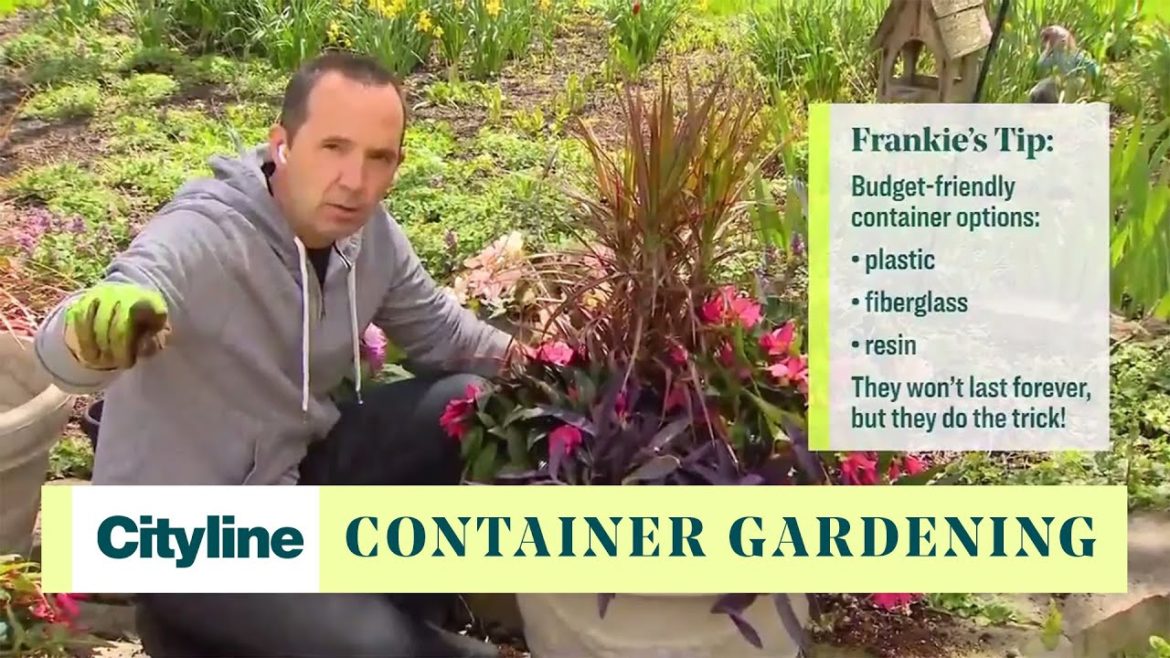 3 container gardening hacks to save time and money 3 container gardening hacks to save time and money