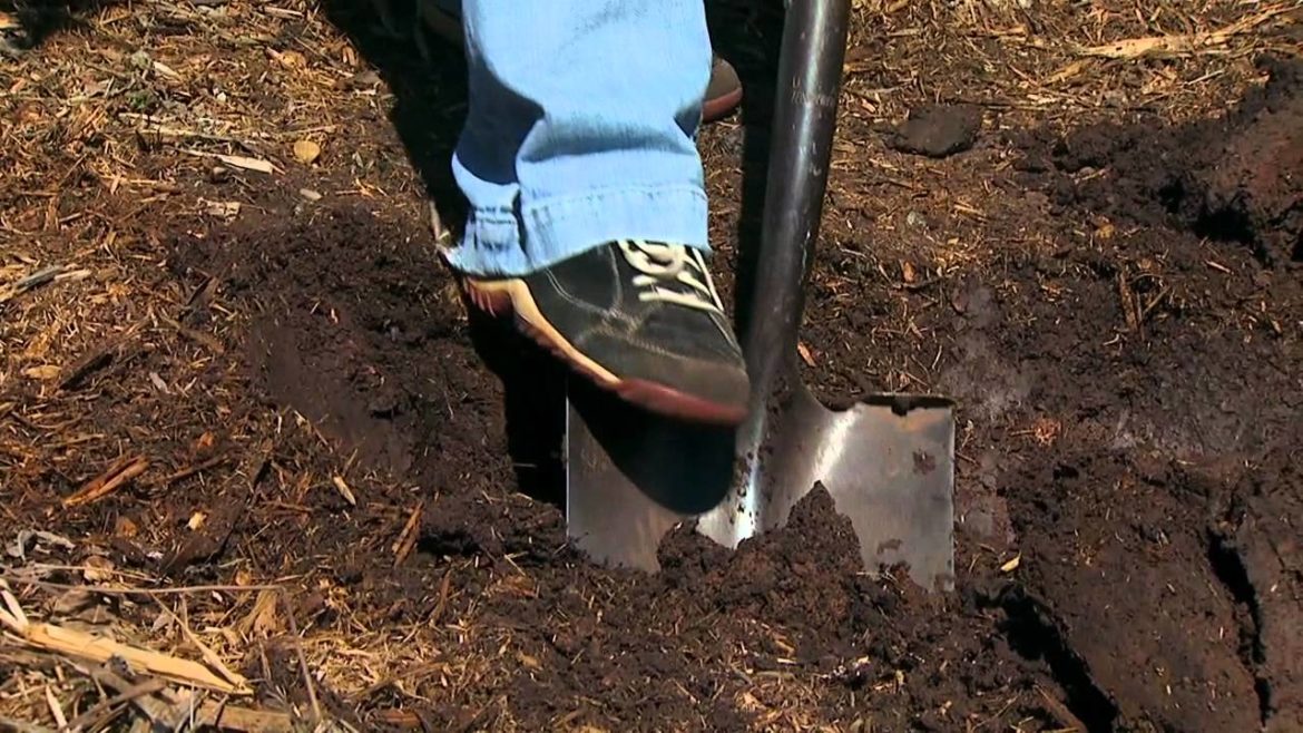 Planting Trees on a Slope