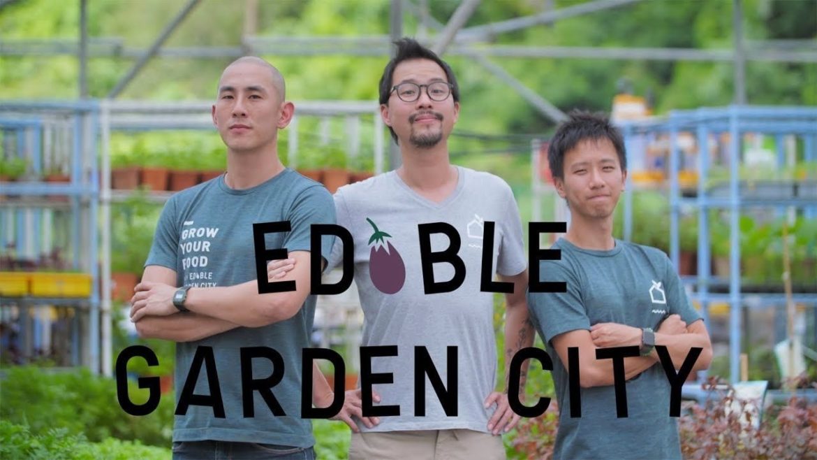 DBS Foundation Social Enterprise Grant Programme: Edible Garden City DBS Foundation Social Enterprise Grant Programme: Edible Garden City