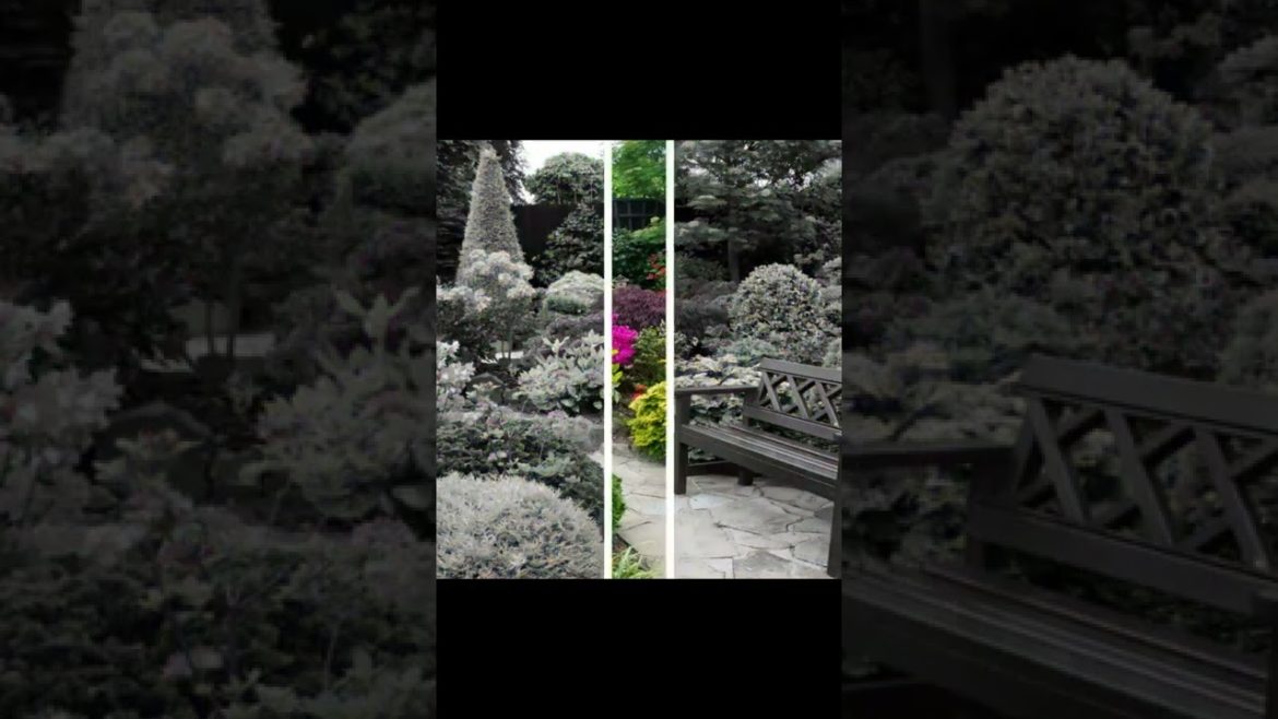 Landscape Desing ideas Best ideas for  garden and landscape #230 #shorts 57