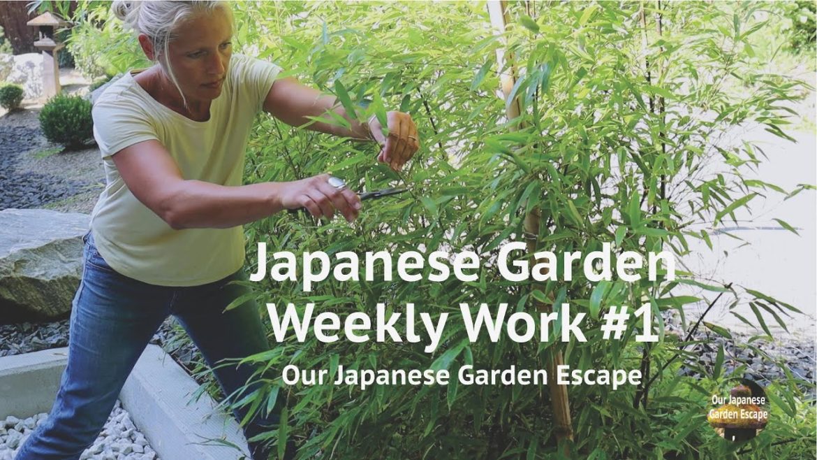 Japanese Garden Weekly Work – Episode 1 | Our Japanese Garden Escape Japanese Garden Weekly Work - Episode 1 | Our Japanese Garden Escape