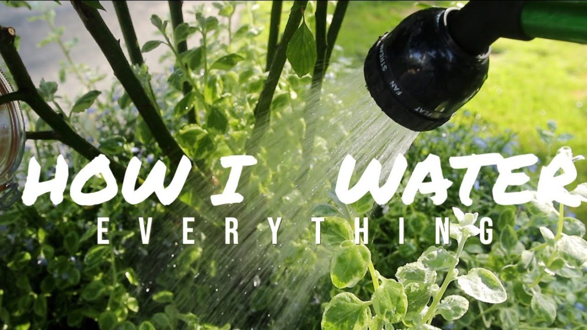 How I water everything + favorite watering gear | The Impatient Gardener How I water everything + favorite watering gear | The Impatient Gardener