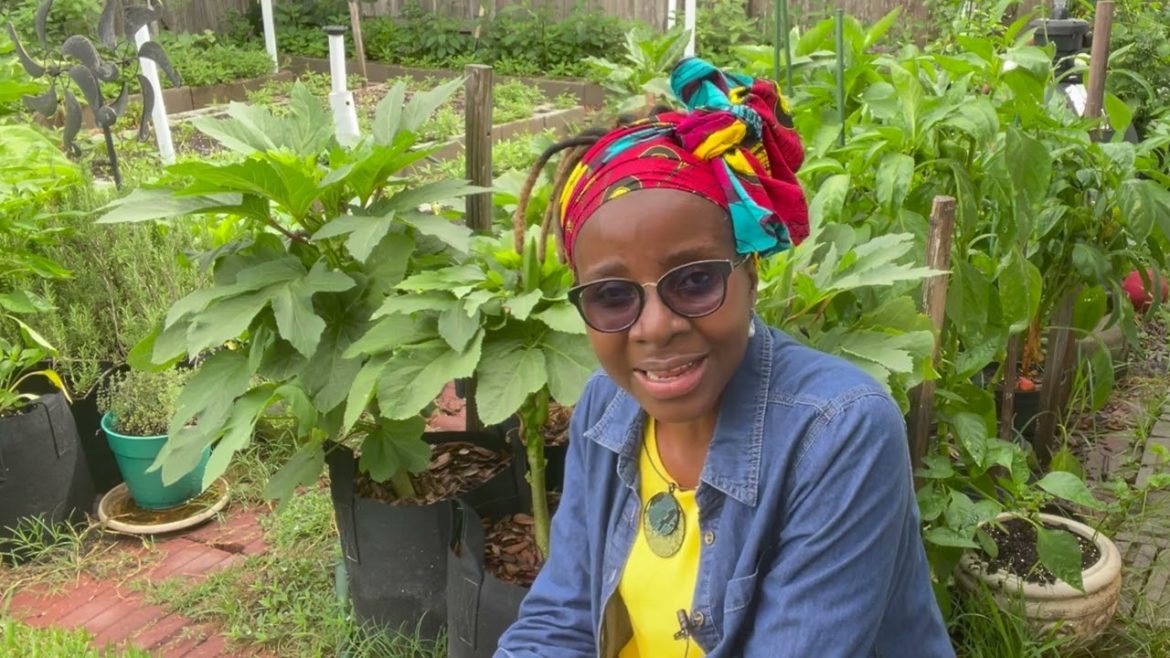 The Container Garden Tour And What You Can Learn From It | Garden INSPIRATION & Ideas #YAJE'SGarden The Container Garden Tour And What You Can Learn From It | Garden INSPIRATION & Ideas #YAJE'SGarden
