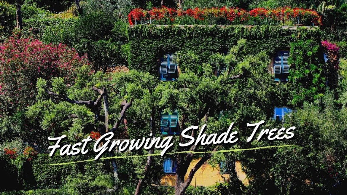 10 Best Fast Growing Shade Trees For Yard 🏠🌲🌳