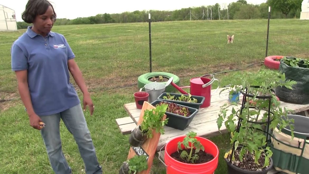 Container Gardening