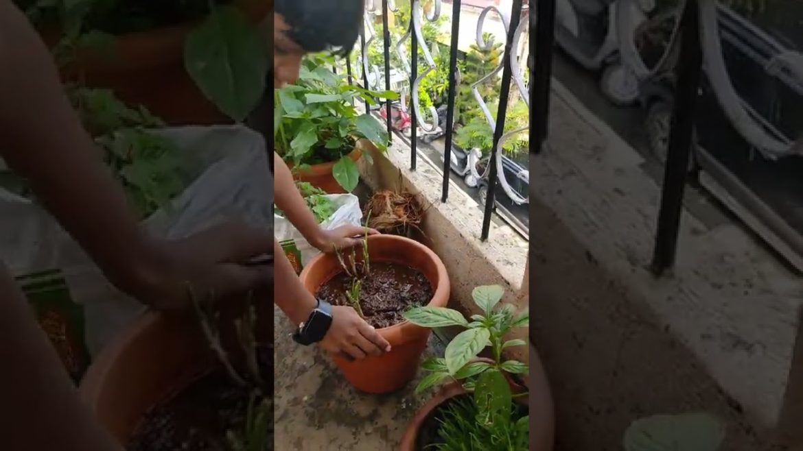 Weekend morning routine #shorts #youtubeshorts  #minivlog #routunevlog