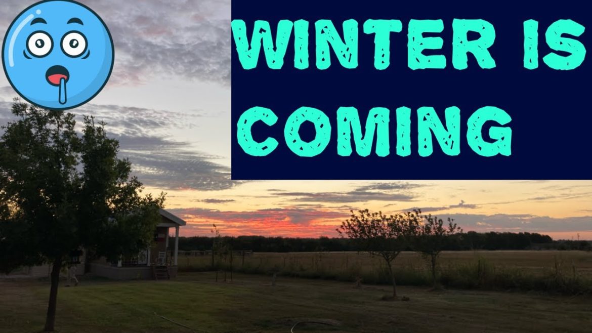 How will we get through this Winter? What are YOUR plans?