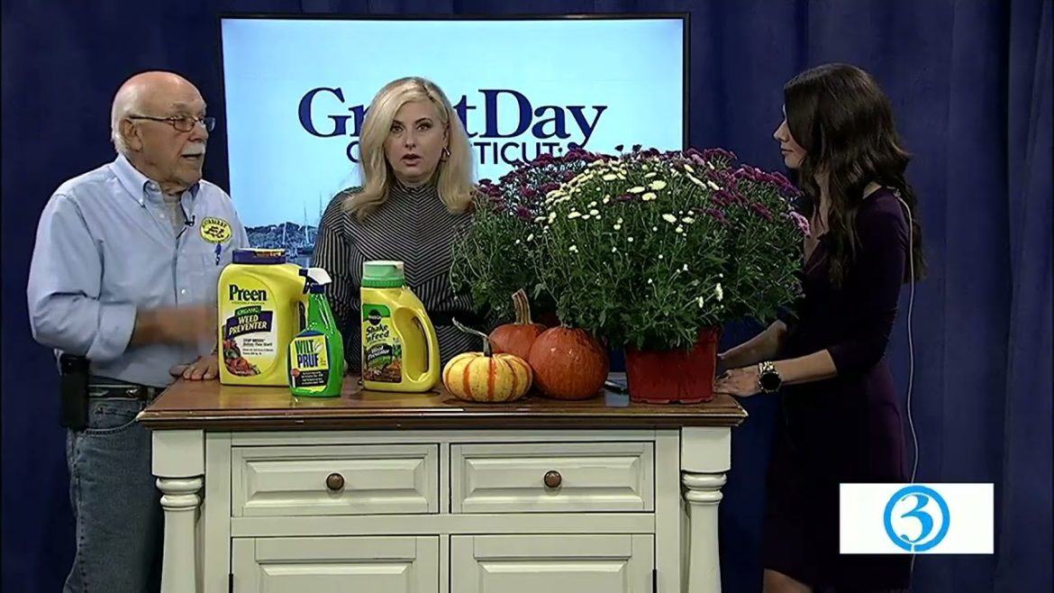 Fall Gardening Tips