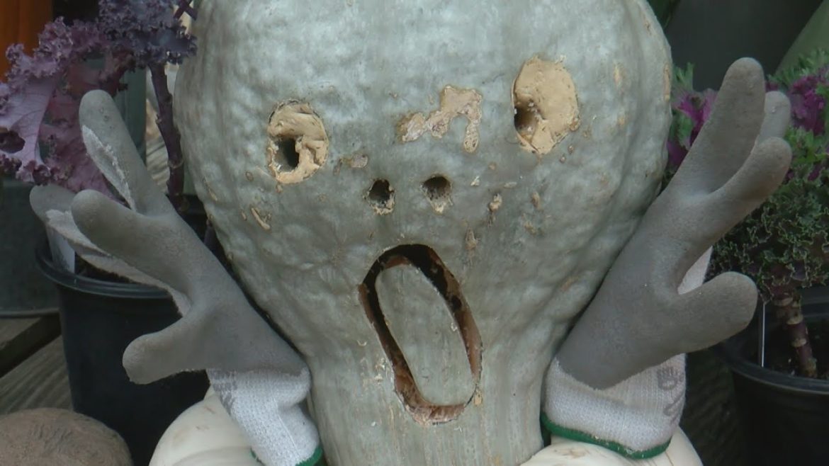 How to protect your yard and garden as temps fall