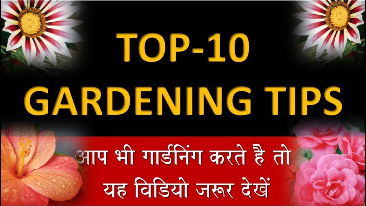 Top 10 gardening tips