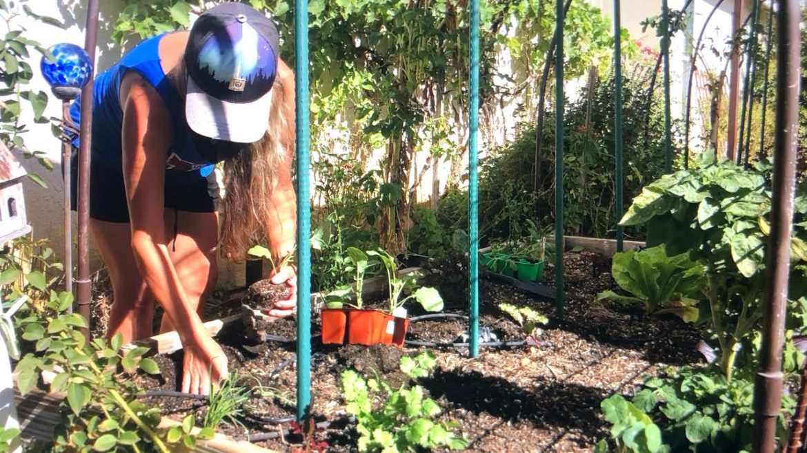 🌱10 October Garden tasks - Southern California Fall Garden #fallgarden #southerncalifornia