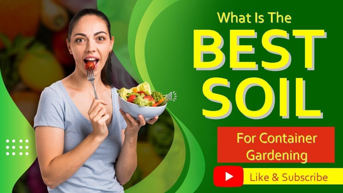 What Is the Best Soil For Container Gardening