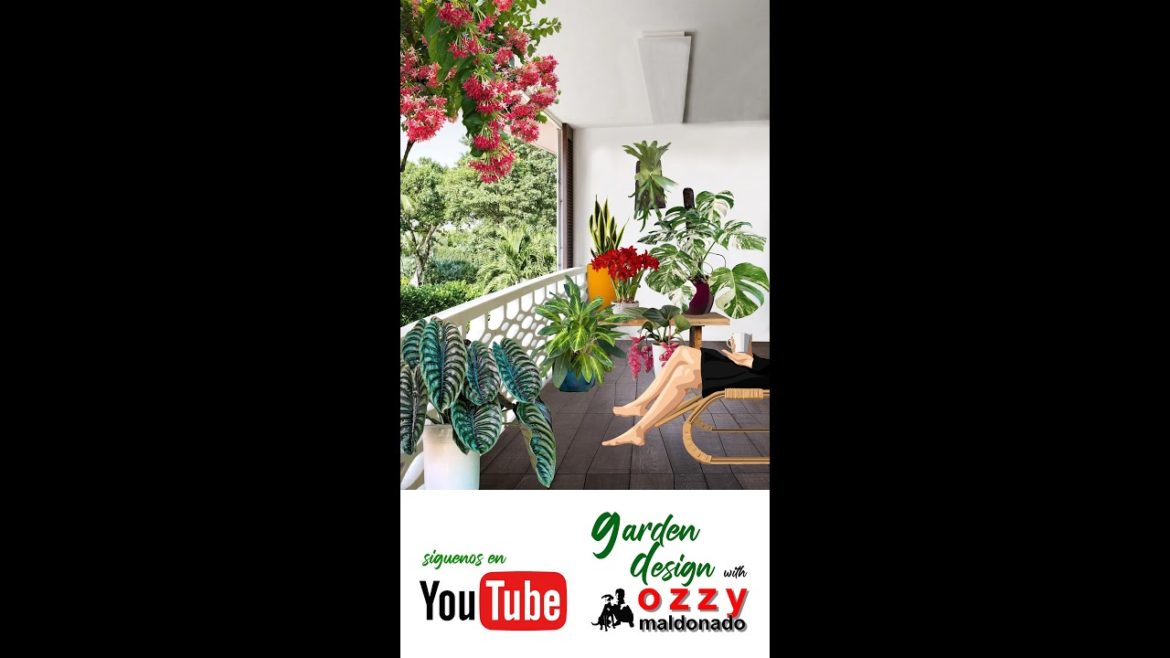 Diseño de jardin #shorts #gardendesign #plants #gardening #jardineria Diseño de jardin #shorts #gardendesign #plants #gardening #jardineria