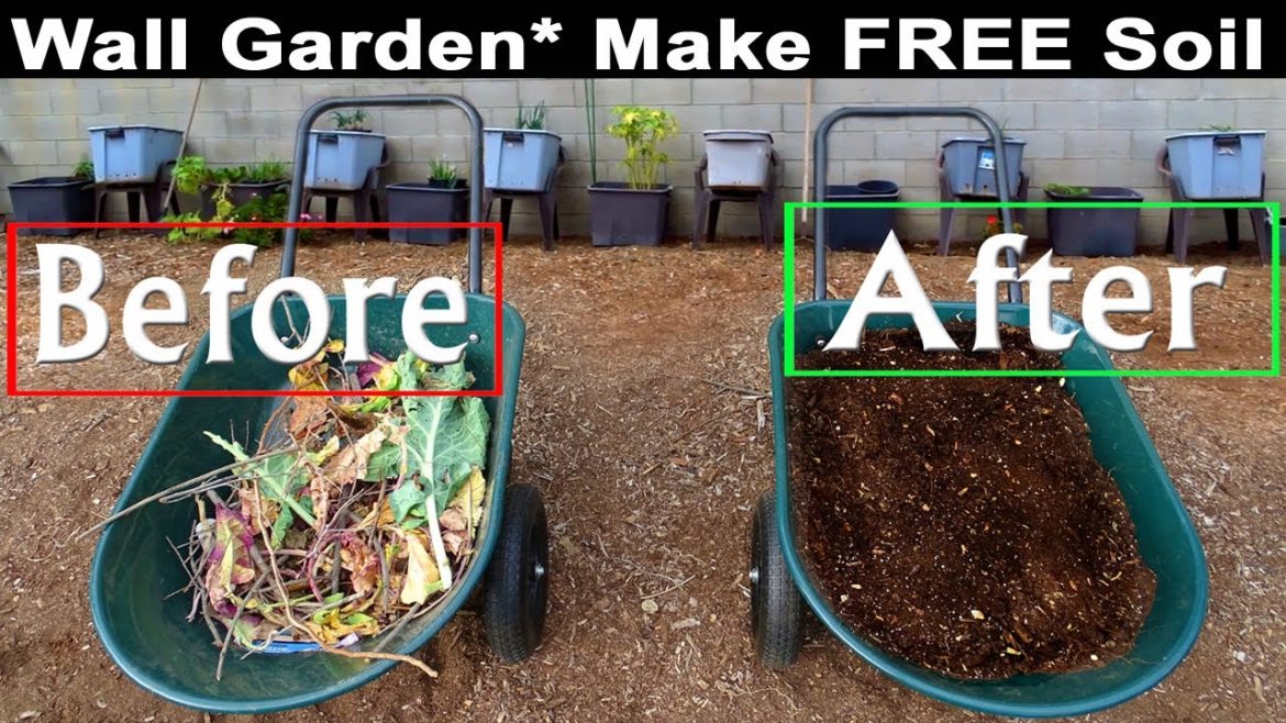 Container Gardening MAKES FREE SOIL for Spring to Grow Vegetables in Raised Bed by Wall & Tips Roots