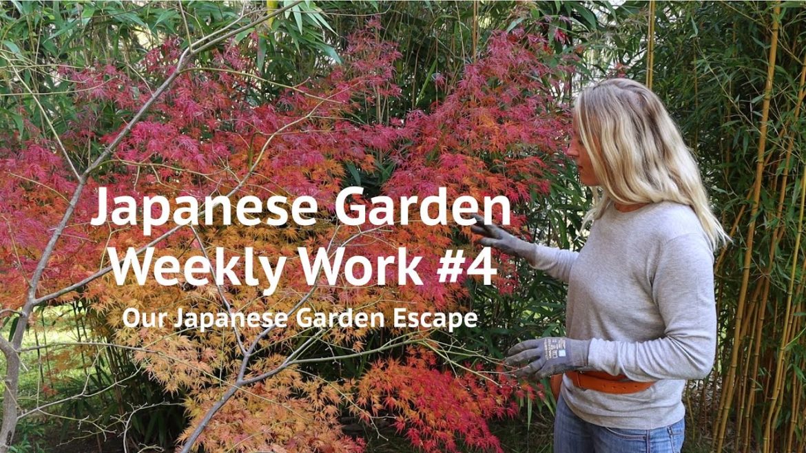 Japanese Garden Weekly Work - Episode 4 | Our Japanese Garden Escape