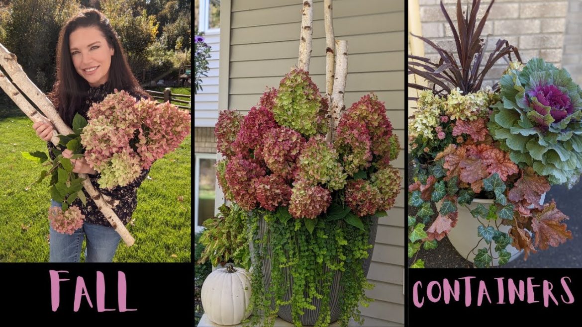Dry Fall Container with Hydrangea Blooms | & a Tip for Faded Mums | Serenity Now Garden Dry Fall Container with Hydrangea Blooms | & a Tip for Faded Mums | Serenity Now Garden