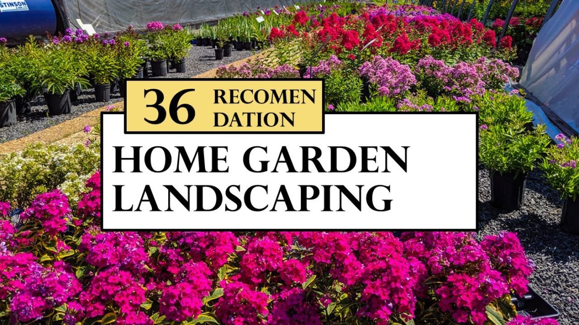 36 Home garden Landscaping Ideas 2022 | House Backyard Patio Design Ideas | Front Yard Garden Idea 36 Home garden Landscaping Ideas 2022 | House Backyard Patio Design Ideas | Front Yard Garden Idea