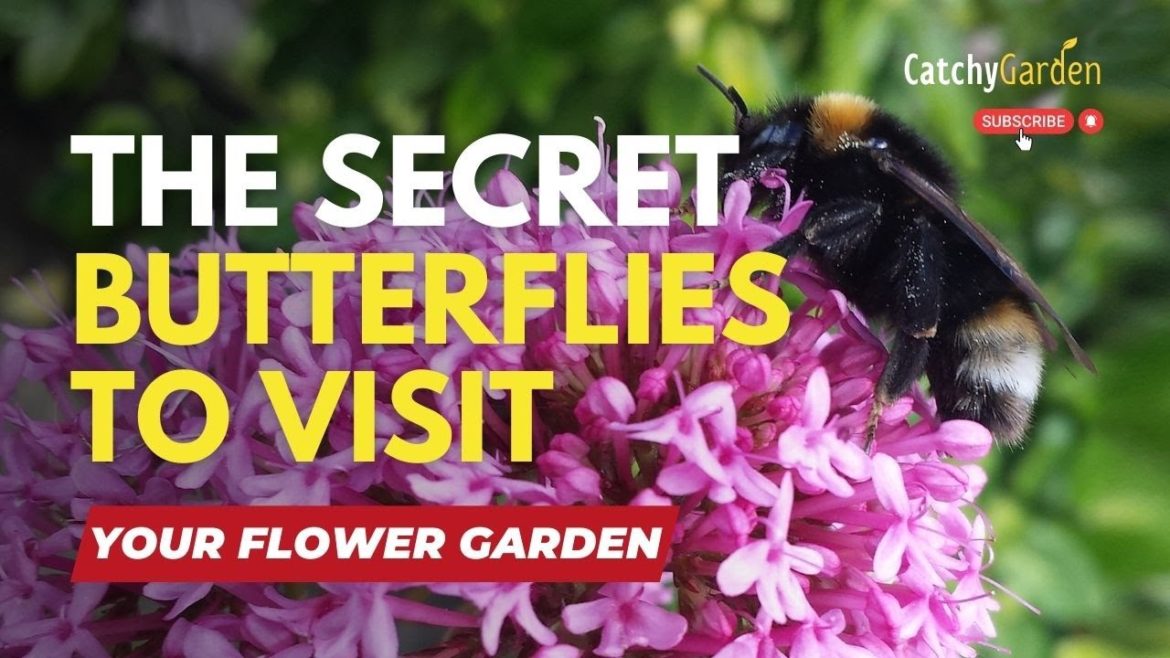 5 Great Plants & Flowers to Bring More Butterflies Into Your Garden π·ππΊπ¦ 5 Great Plants & Flowers to Bring More Butterflies Into Your Garden π·ππΊπ¦