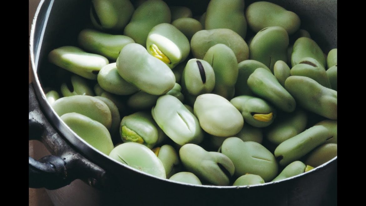 Sow Broad Beans from October to December