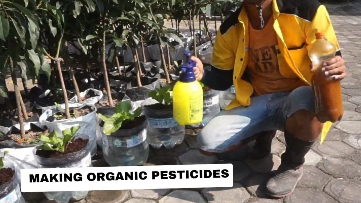 making organic pesticides