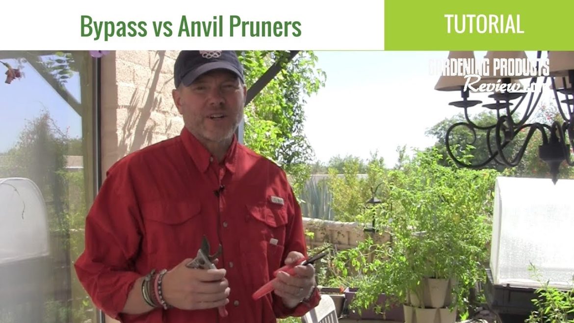 Bypass Pruners vs Anvil Pruners: What's the Difference? | Gardening Products Review Bypass Pruners vs Anvil Pruners: What's the Difference? | Gardening Products Review