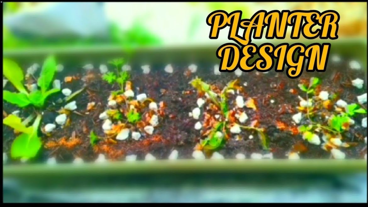 Created a Planter Design for the Pots | #gardeningthroughthewindow Created a Planter Design for the Pots | #gardeningthroughthewindow