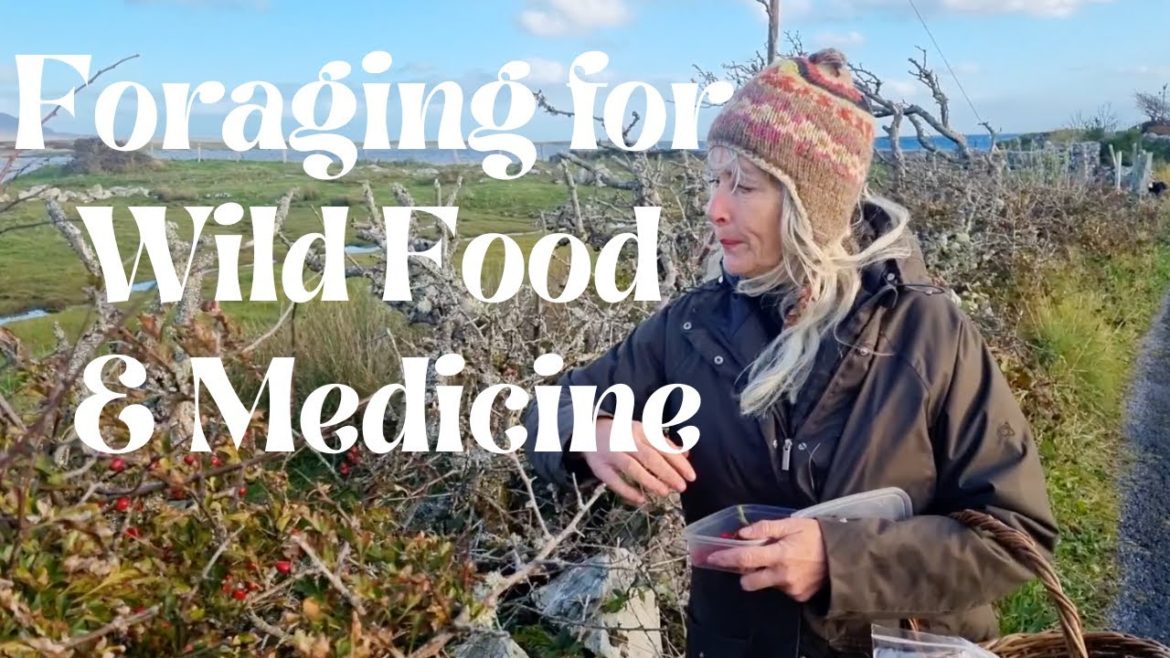 Foraging for Wild Food and Medicine