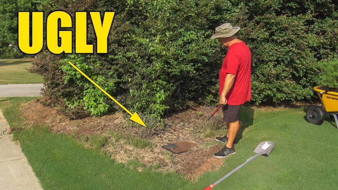 Lawn Natural Areas - Lawn Landscaping