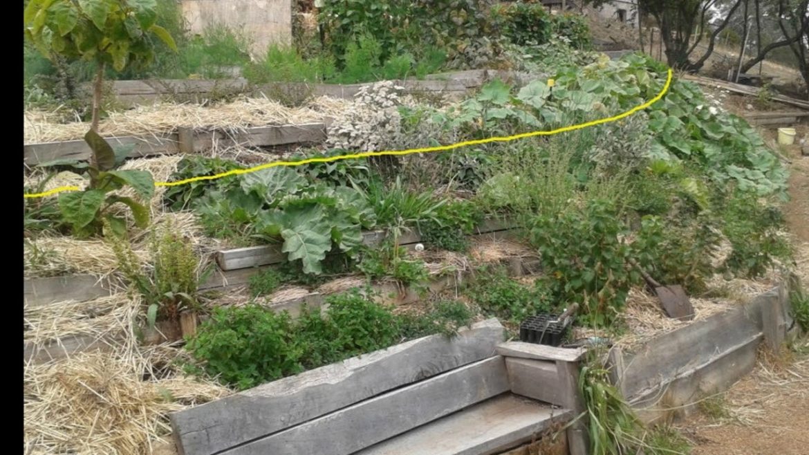 Landscaping Ideas for Sloped Backyard - Garden Design On Slopes