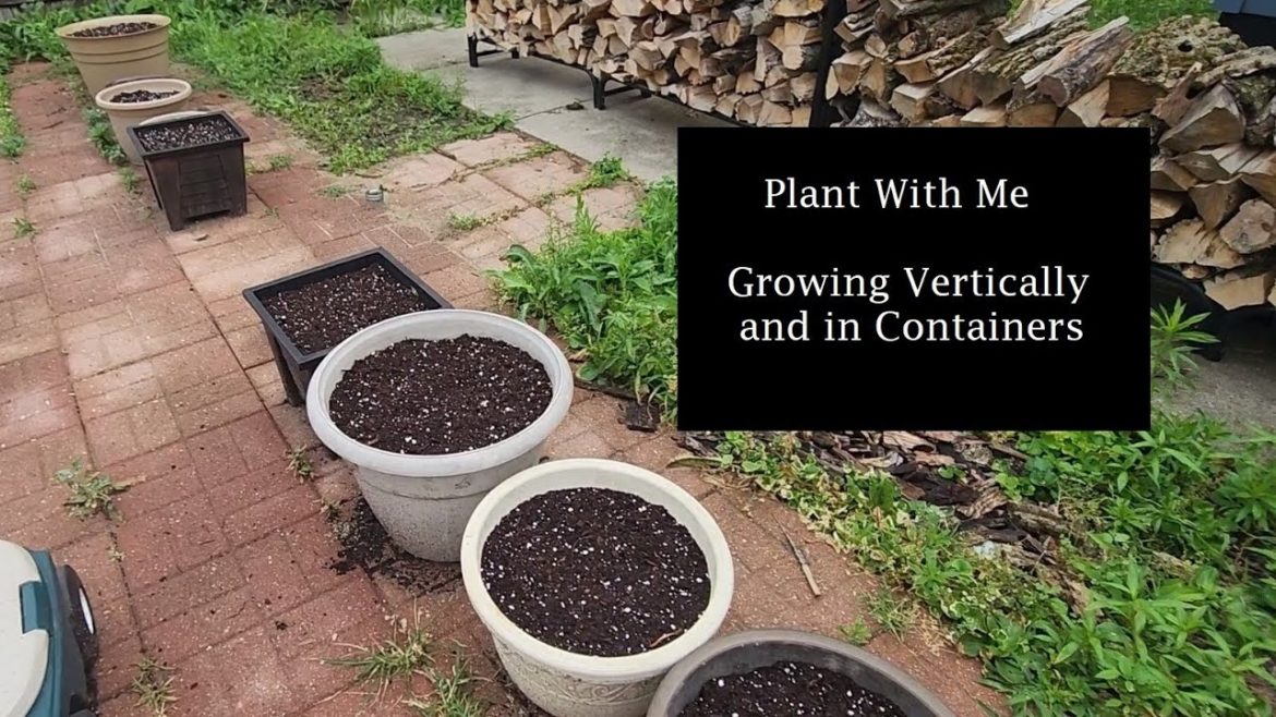 Grow Vertically | Plant With Me | Container Gardening