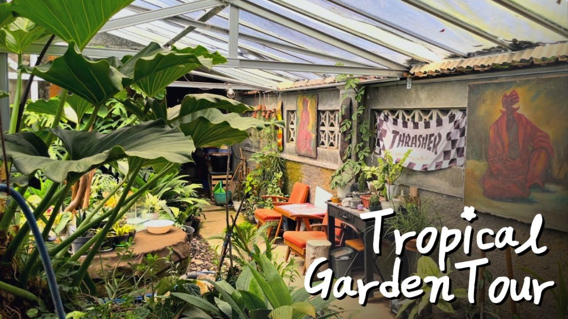 Garden Tour: This Rustic Backyard TROPICAL GARDEN is Absolutely Gorgeous! 🍃 💚