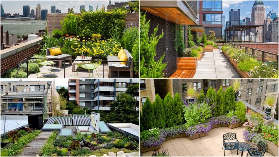 Beautiful Rooftop Garden Design Ideas | Rooftop Terrace Garden Design Ideas