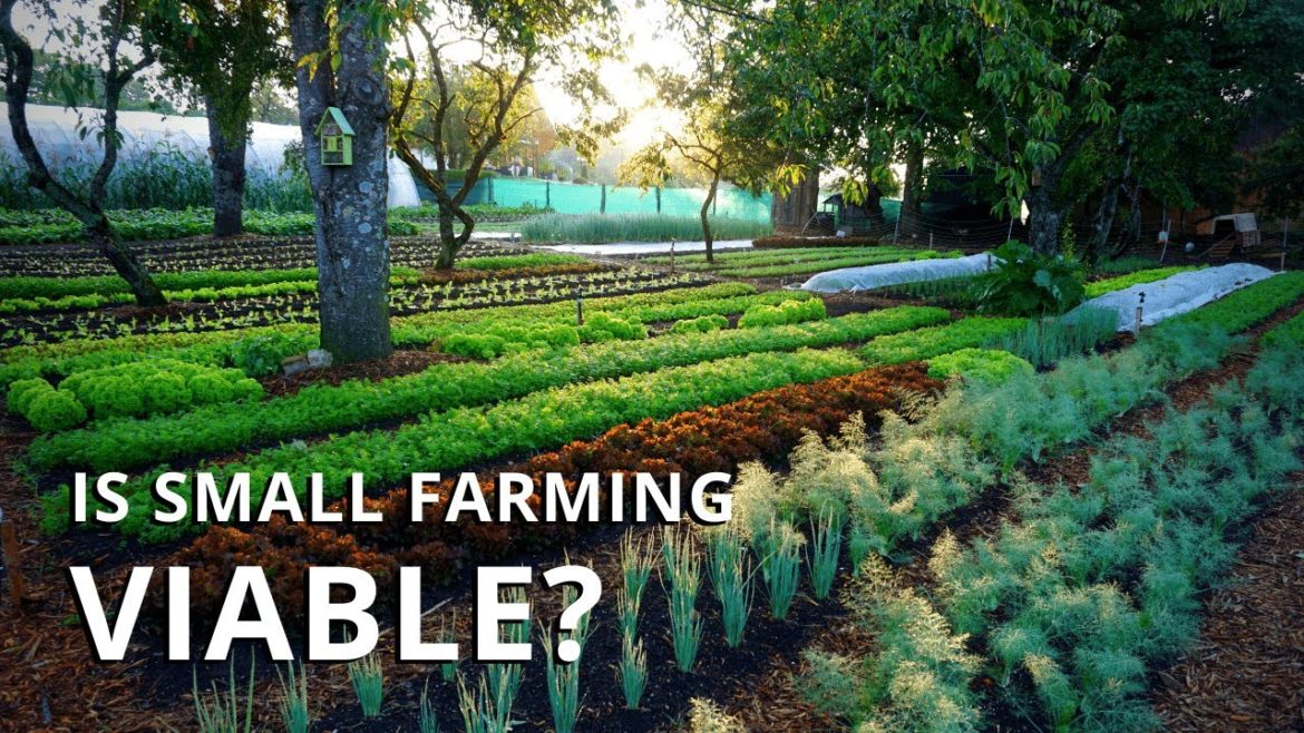 Is Market Gardening Profitable? Making a Living On a Small Farm
