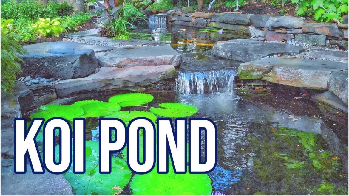 Formal KOI POND in FRONT YARD | part 2