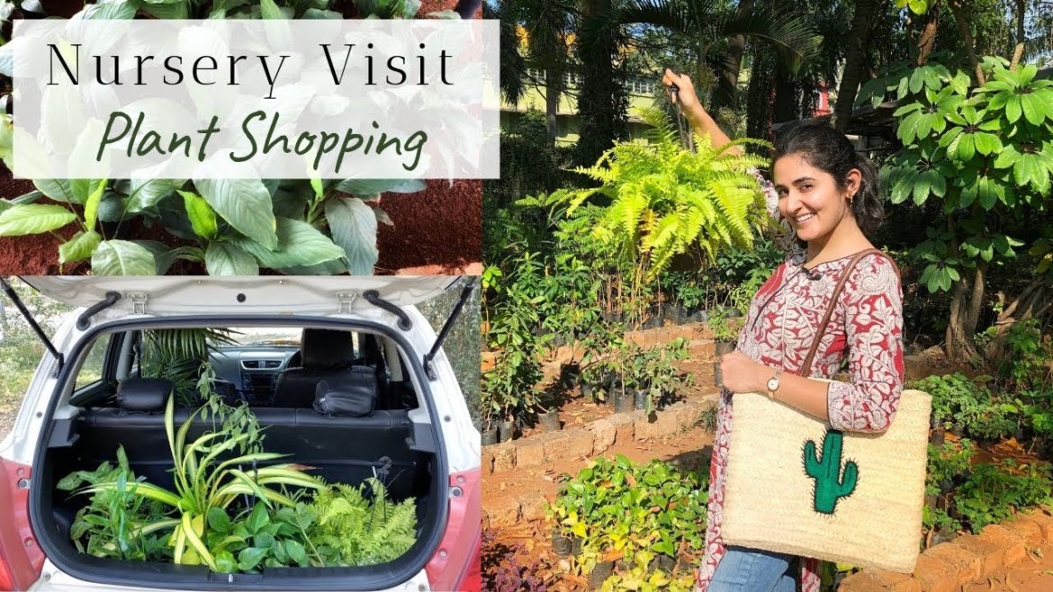 Come Plant Shopping to a Nursery with Me | Garden Up