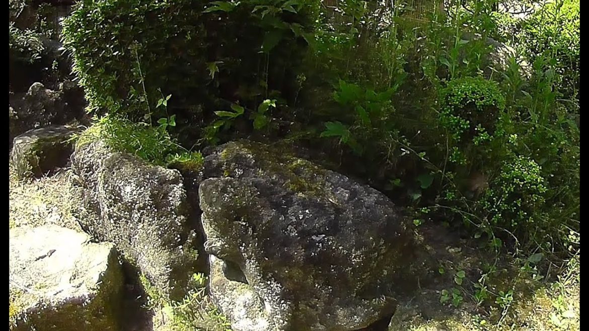 Japanese talking with insects Japanese garden maintenance natural rock in my landscape. Japanese talking with insects Japanese garden maintenance natural rock in my landscape.