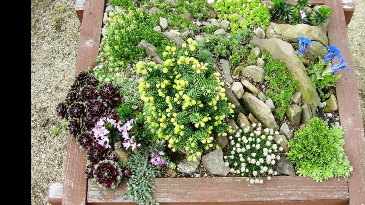 Rock Garden Design Plans