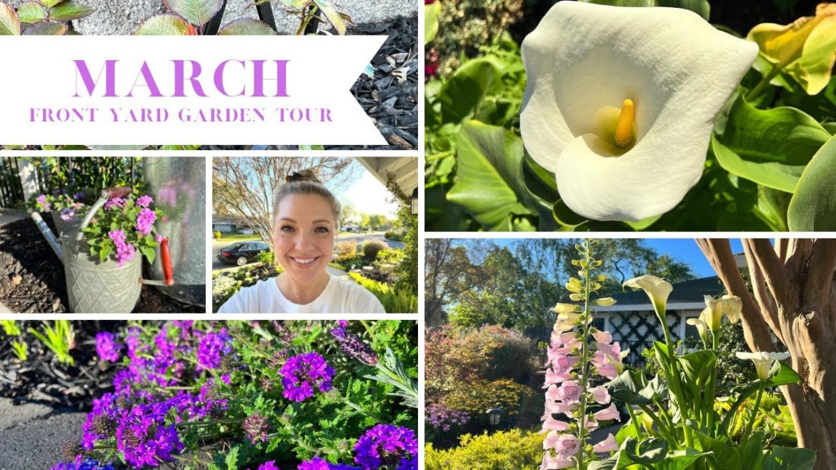 March Front Yard Garden Tour! 🌸 :: Early Morning Small Yard Garden Tour :: Zone 9b