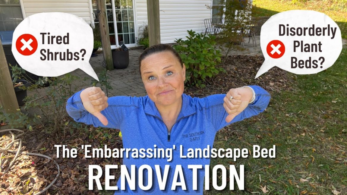 Landscape Design Part 1: Renovating My Most Embarrassing Landscape Bed! Landscape Design Part 1: Renovating My Most Embarrassing Landscape Bed!